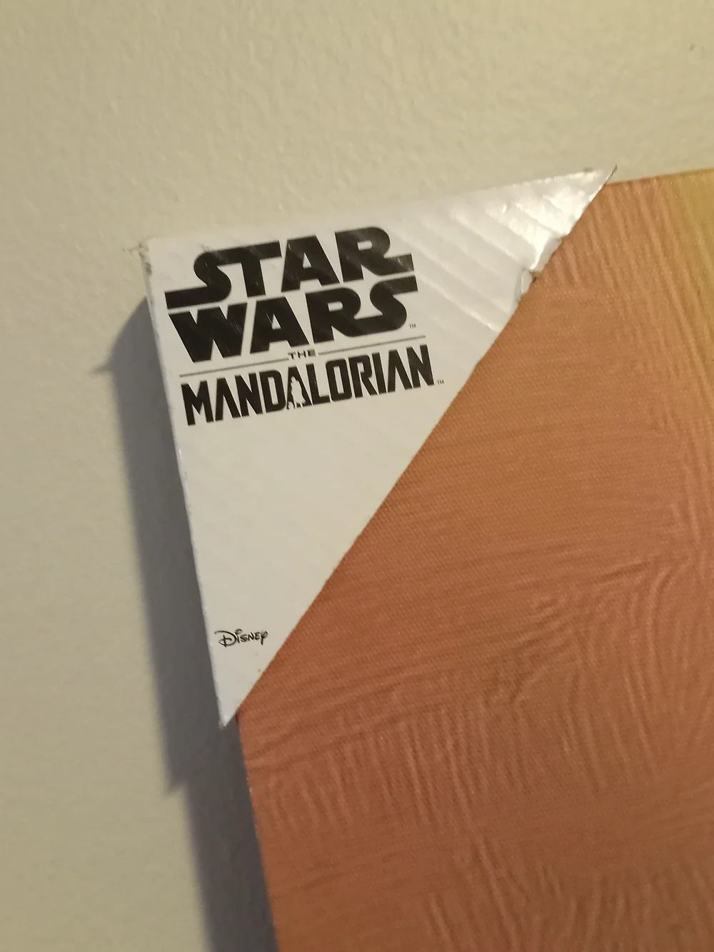 Star Wars The Mandalorian 